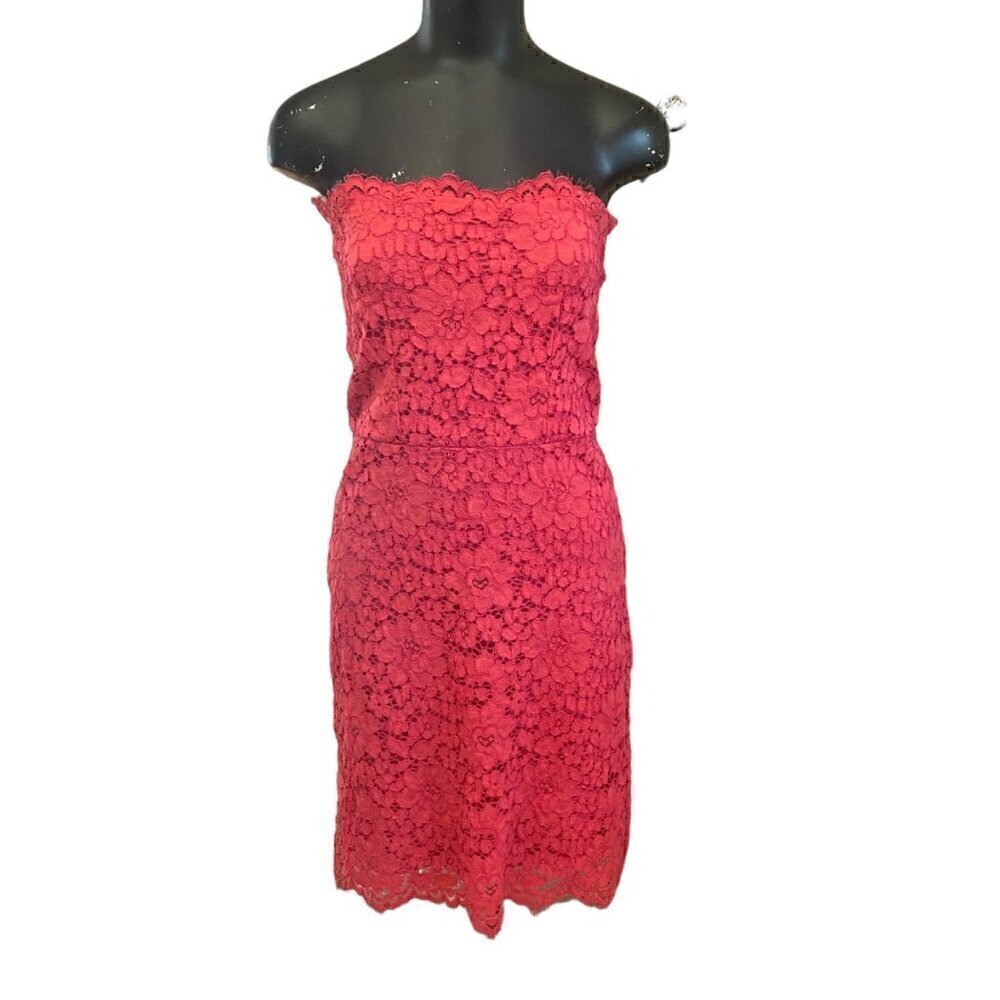 Zara Floral Lace Strapless Dress in Pink Size Large